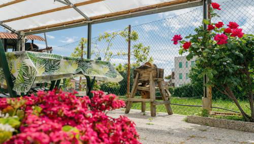 Case di Rosita - Foto 4, Garden