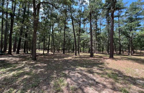 The Pine Tree Palace - Foto 31