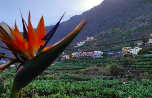 Casa Rural La Pitanga - Foto 28