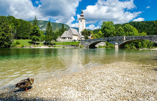 Alpine Chalet Metka at Lake Bohinj - Foto 30