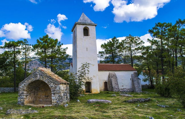 Apartments Branka - Foto 23