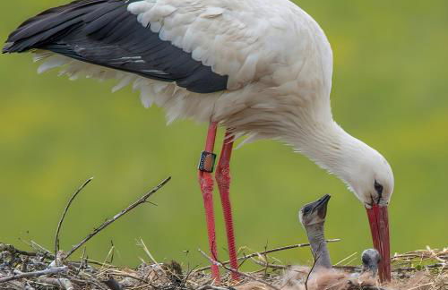 Weingut Geiger - Foto 48