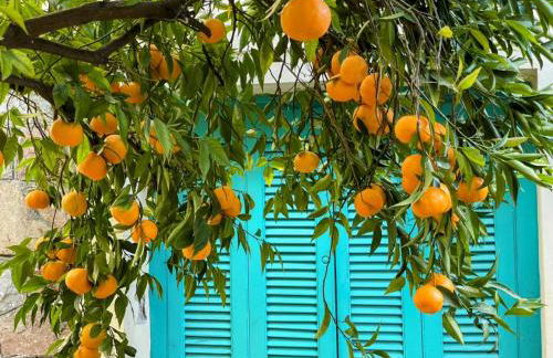 Peculiar Garden Apartment - Photo 37