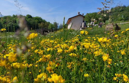 La casa di Maia - Alloggio Agrituristico - Foto 50