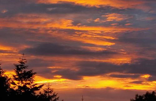 2-Bed Cottage Sleeps 4 with Hot Tub - Foto 21