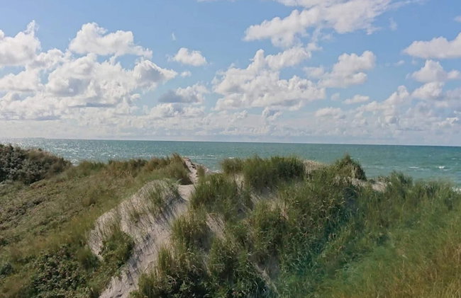 Holiday Home in Blokhus - Foto 48