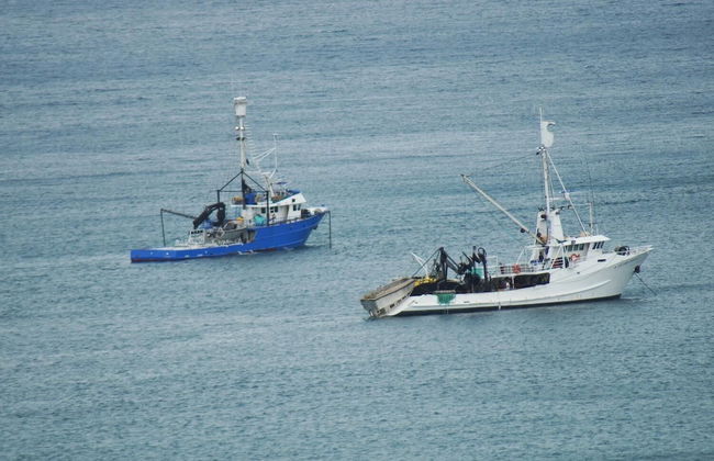 Lindsays of Kangaroo Island - Photo 16