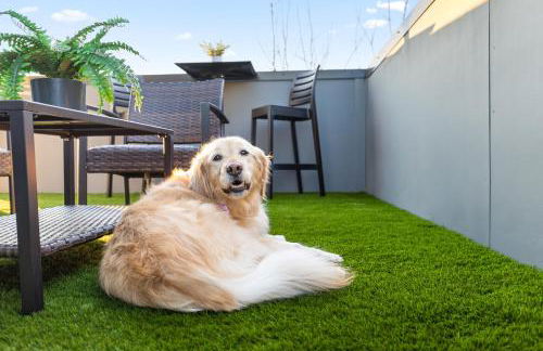 Golden Hour - A Southside Home - Foto 59