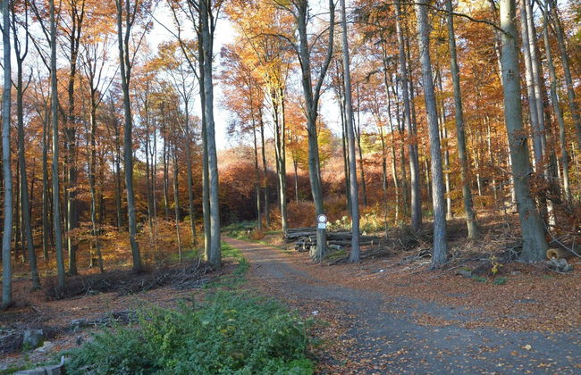 Private Mountain Lodge, Bad Ems - Foto 51