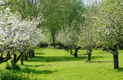 Deer Cottage 1 Uk39330 - Foto 21