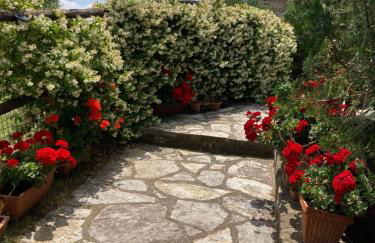 Salto di Gatto - Foto 43