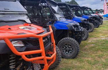 The Prancing Pony Guest House at Edendell - Foto 48