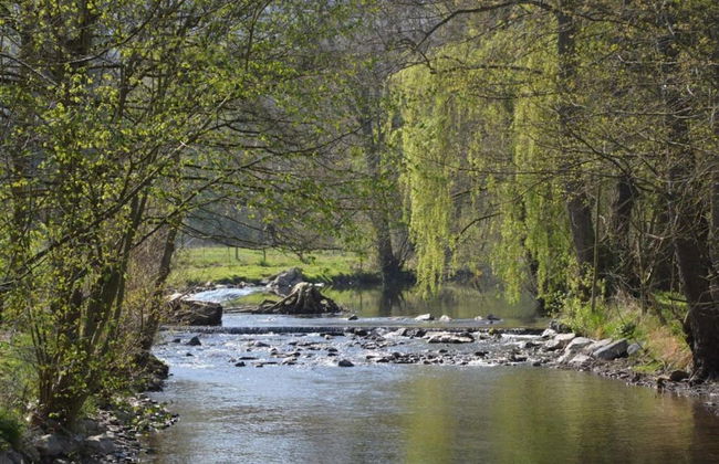 Grand Mill Stay in Anhee - Foto 39