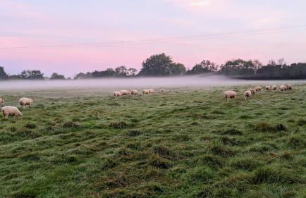 Ferme de Franqueville - Foto 25