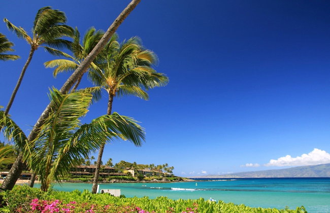 Beautiful 1 Bedroom Condo with Ocean Views | Oceanfront - Foto 108