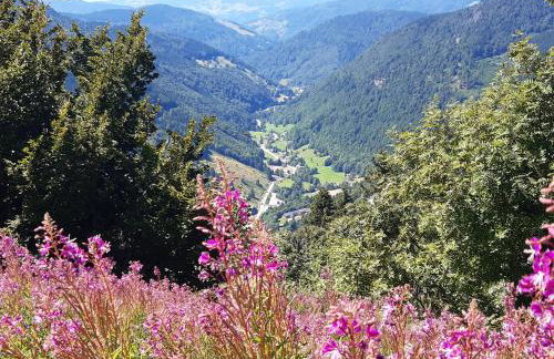 Kopf Frei auf 1000 Meter Wohnung 1 - Foto 15