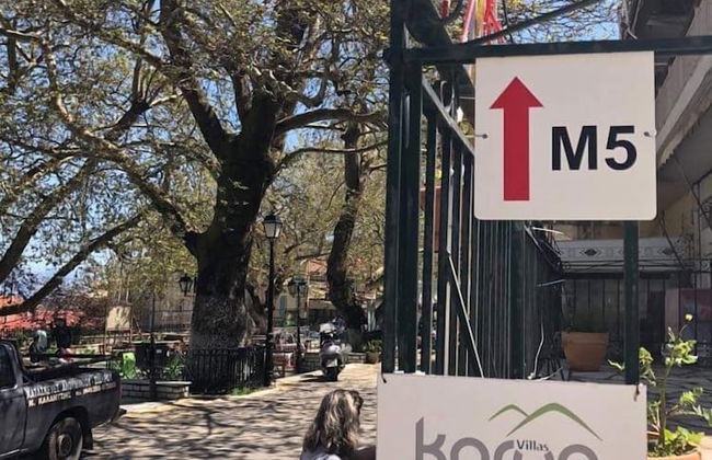 Villas Karya - Photo 20