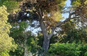 le Gecko en Provence - Foto 34