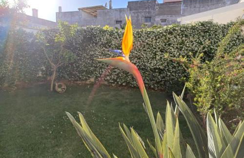 Casa Romeo - Foto 51