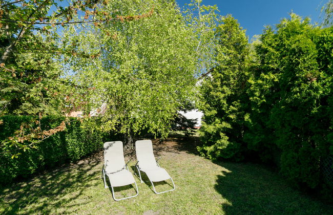 Mathias Rex - Foto 3