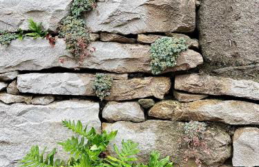 Tavertet un poble preciós - Foto 26