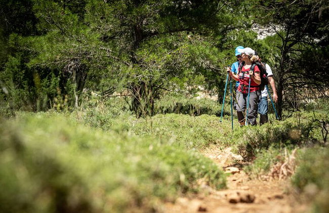Senderismo Montaña Akramitis Rodas - Foto 16