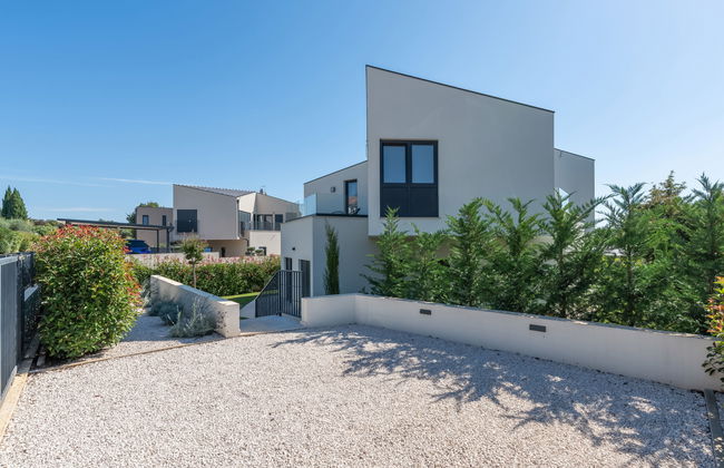 Marko Aurelia - Foto 48