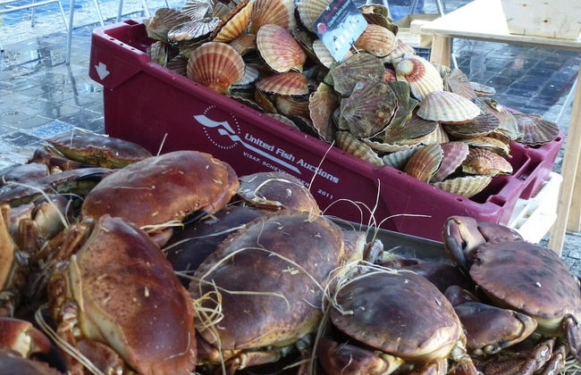 Holiday Home in Paimpol Near Beach - Foto 16