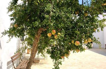Masseria Villa Gioia - Foto 11