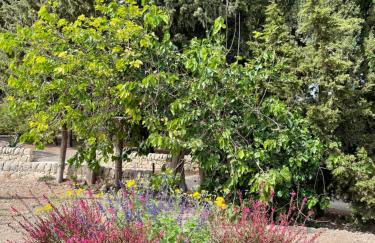 Chiusa Di Carlo Agriturismo - Foto 77