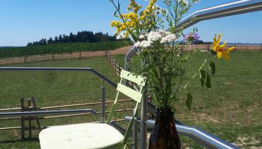 Ferienwohnung am Dachsberg, Bayerischer Wald - Foto 2