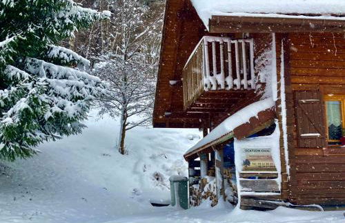 Chalet Des Feignes - Photo 47