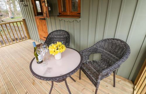 Bracken Fern - Photo 17