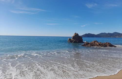 Sea Pearl apartment Cannes - Foto 4