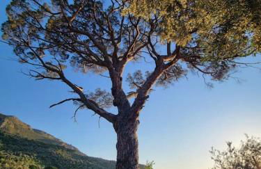 Appartamento Rosmarino - Foto 29