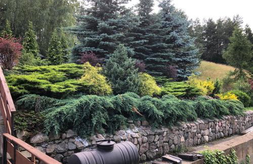 Jaworzynka Nad Jeziorem - Foto 19