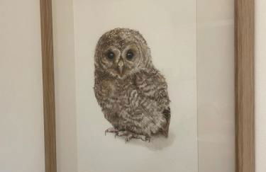 Tawny Lodge, Evesham Nr Cotswolds - Foto 36