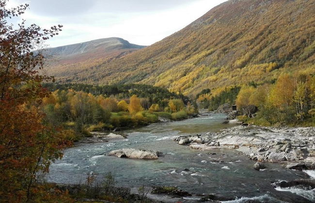 Driva Hytter - Foto 15