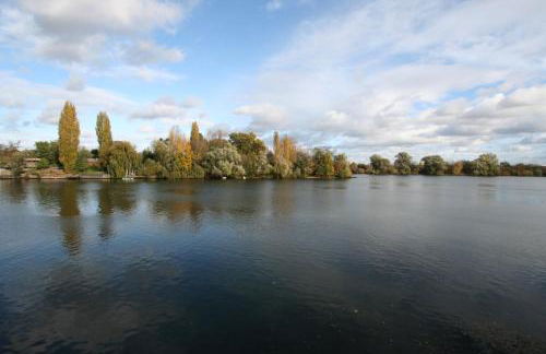 Comme un Poisson dans l'Eau - Foto 11