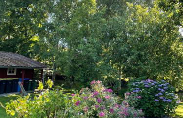 Seestern am Naturstrand - Foto 35