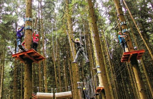 Baumhaus Hotel Voglsam - Foto 27