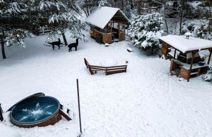 Chata Pod Lasem - Foto 71