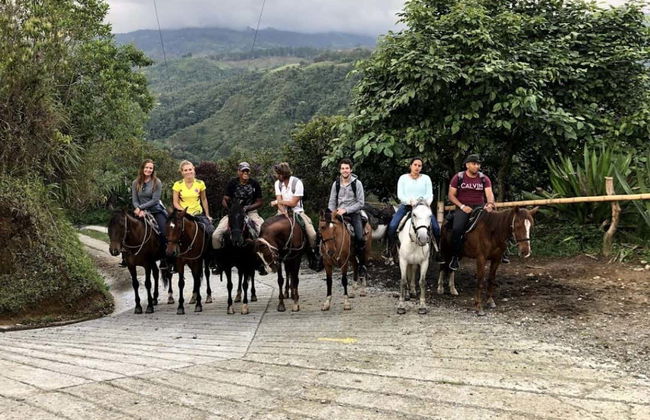 Cocora Valley Private Day Trip & Horse Riding - Foto 5