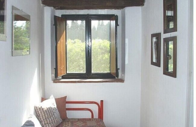 Codavolpe Giardino di Tea - Foto 10