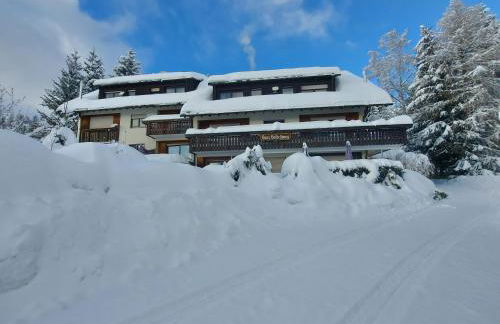 Haus Heidelberg - Foto 45