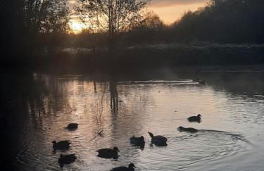 Moulin de Janlard - Foto 12