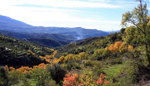 Cortijo Buena Vista - Photo 5
