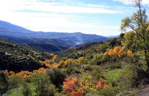 Cortijo Buena Vista - Photo 5