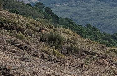 Apartamento Turístico Monteceli AT-CC-00748 - Foto 21