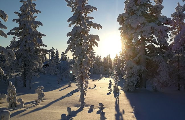 Villas Karhunpesä - Foto 15